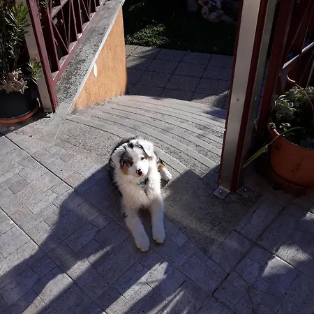 Kenezy Lux Vendeghaz Guest house *