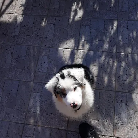 Guest house Kenezy Lux Vendeghaz 3*